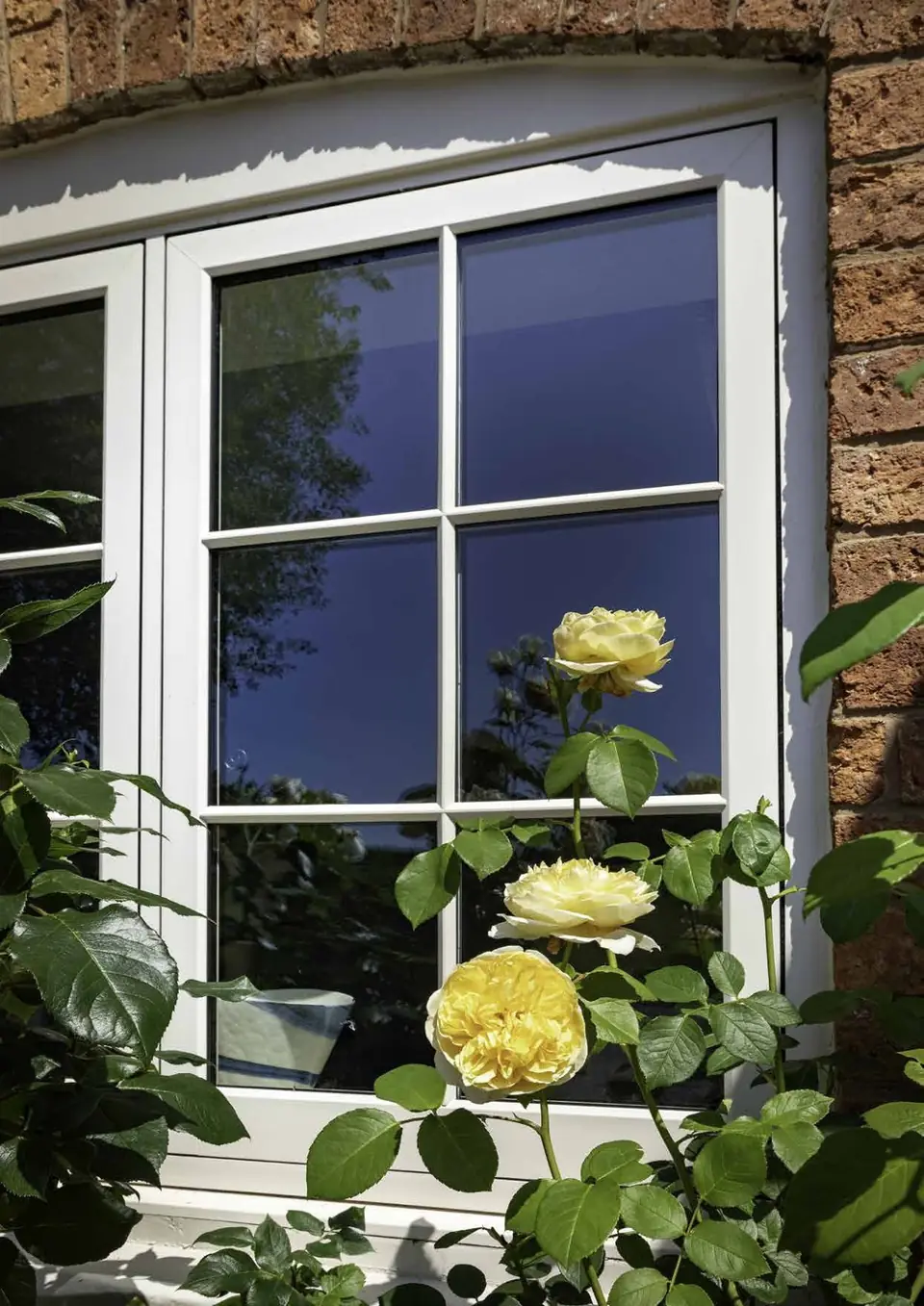Windows – Hale Windows And Doors