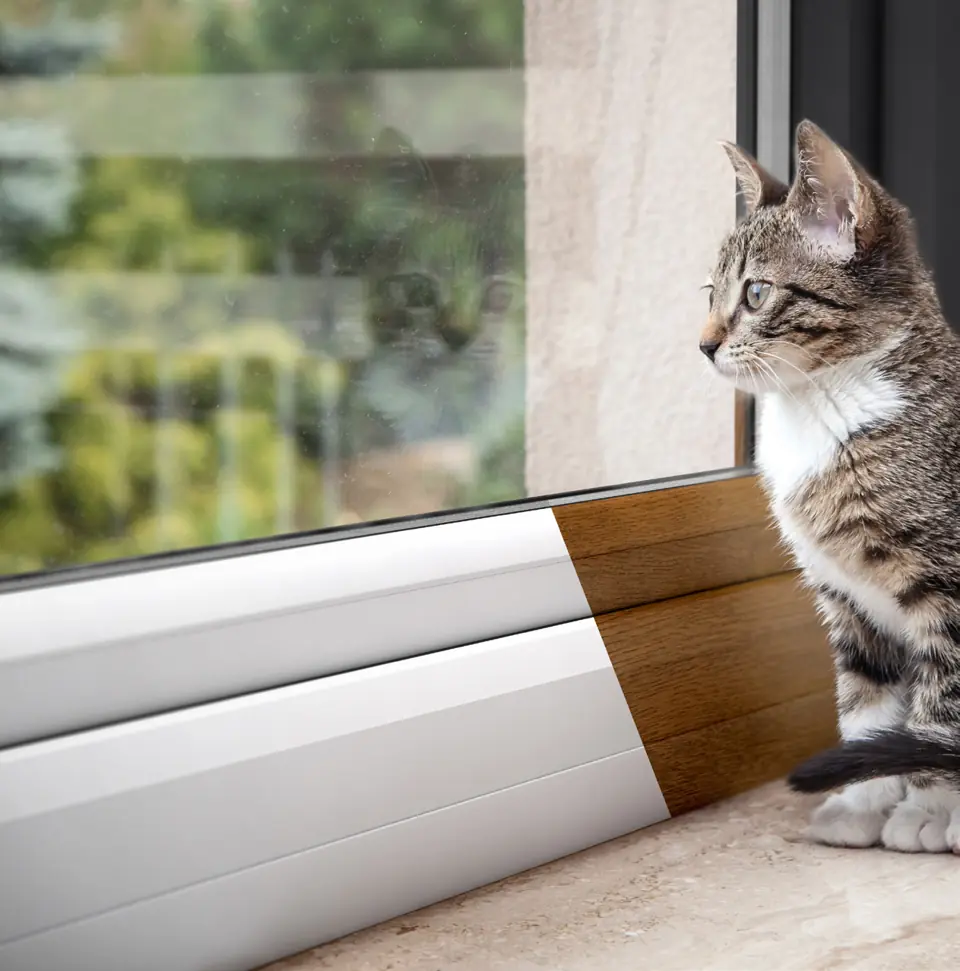 Windows – Hale Windows And Doors
